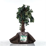 Приствольный круг диаметр 120 см, 2 шт H202-08 H202-08 - фото 83356