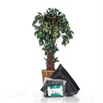 Домик для роз 3шт, высота 50 см H202-17 H202-17 - фото 83382