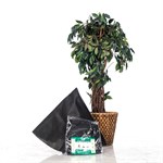 Укрытие для роз на зиму 3шт, высота 60 см H202-18 H202-18 - фото 83386