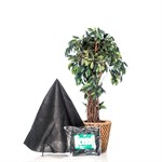 Домик для роз 3шт, высота 80 см H202-19 - фото 83389 Домик для роз 3шт, высота 80 см H202-19 - фото 83389