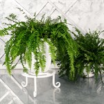 Кованая подставка для цветов Кованая подставка для цветов