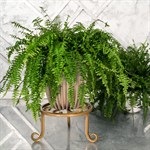 Напольная подставка для цветов