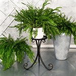 Подставка для цветов из металла 401-012BG - фото 84270