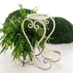 для растений