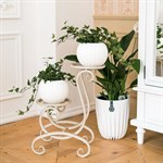 для двух растений