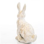 символ 2023 года