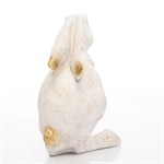 символ 2023 года