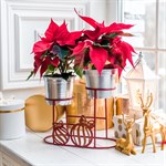 Подставка для цветов кованая 660-001R