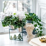 Цветочница на подоконник 660-002