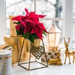 Цветочница 660-004G Цветочница 660-004G