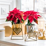 Цветочница кованая на подоконник 660-004G Цветочница кованая на подоконник 660-004G