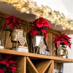 Цветочница на подоконник 660-004G Цветочница на подоконник 660-004G