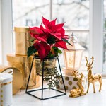 Подставка для цветов 660-005BG металлическая