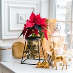 Подставка для цветов 660-005BG