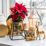 Подставка для цветов 660-005BG на подоконник