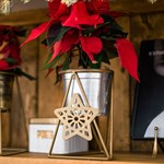 Подставка для цветов звезда 660-006 металлическая d=12см 660-006G - фото 87071