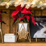 Подставка для цветов звезда 660-006 металлическая d=12см 660-006G - фото 87072