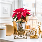 Подставка для цветов звезда 660-006 металлическая d=12см 660-006G - фото 87075