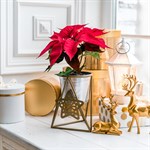 Подставка для цветов звезда 660-006 металлическая d=12см 660-006G - фото 87076