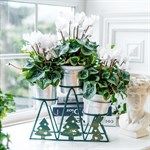 подставки оптом