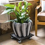 на колёсиках