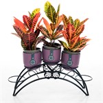 металлическая цветочница