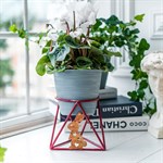 новогодняя цветочница