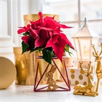 цветочница