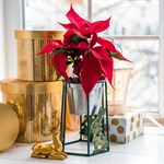 декоративная цветочница декоративная цветочница