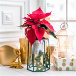 новогодний декор новогодний декор