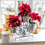 цветочница на подоконник цветочница на подоконник