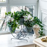 в подарок в подарок