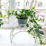 под один цветок