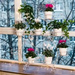 цветочница цв.белый с золотом