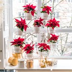 для декора интерьера