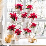 цветочница для 9 кашпо на подоконник