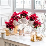 кованая цветочница