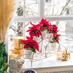 подоконная серия