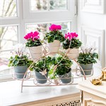 для декора интерьера