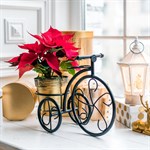 цветочница велосипед