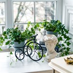 для декора интерьера