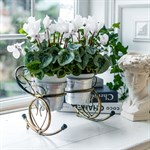 для декора для декора