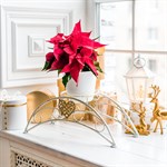 на подоконник