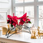 кованая цаеточница