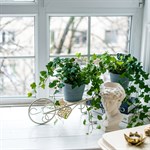 для декора для декора