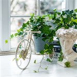 в подарок на новый год