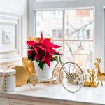 на подоконник