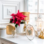 кованая цветочница