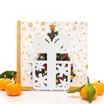 идеальный подарок