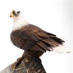 Фонтан орел